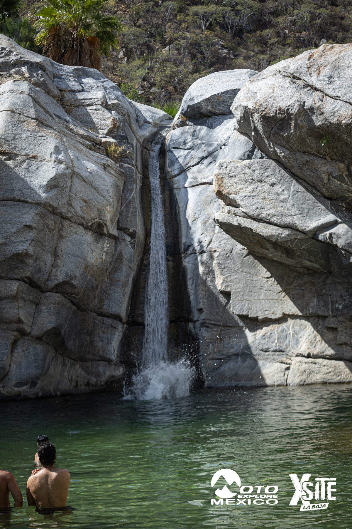 ITALIKA LA NAJA D2 308