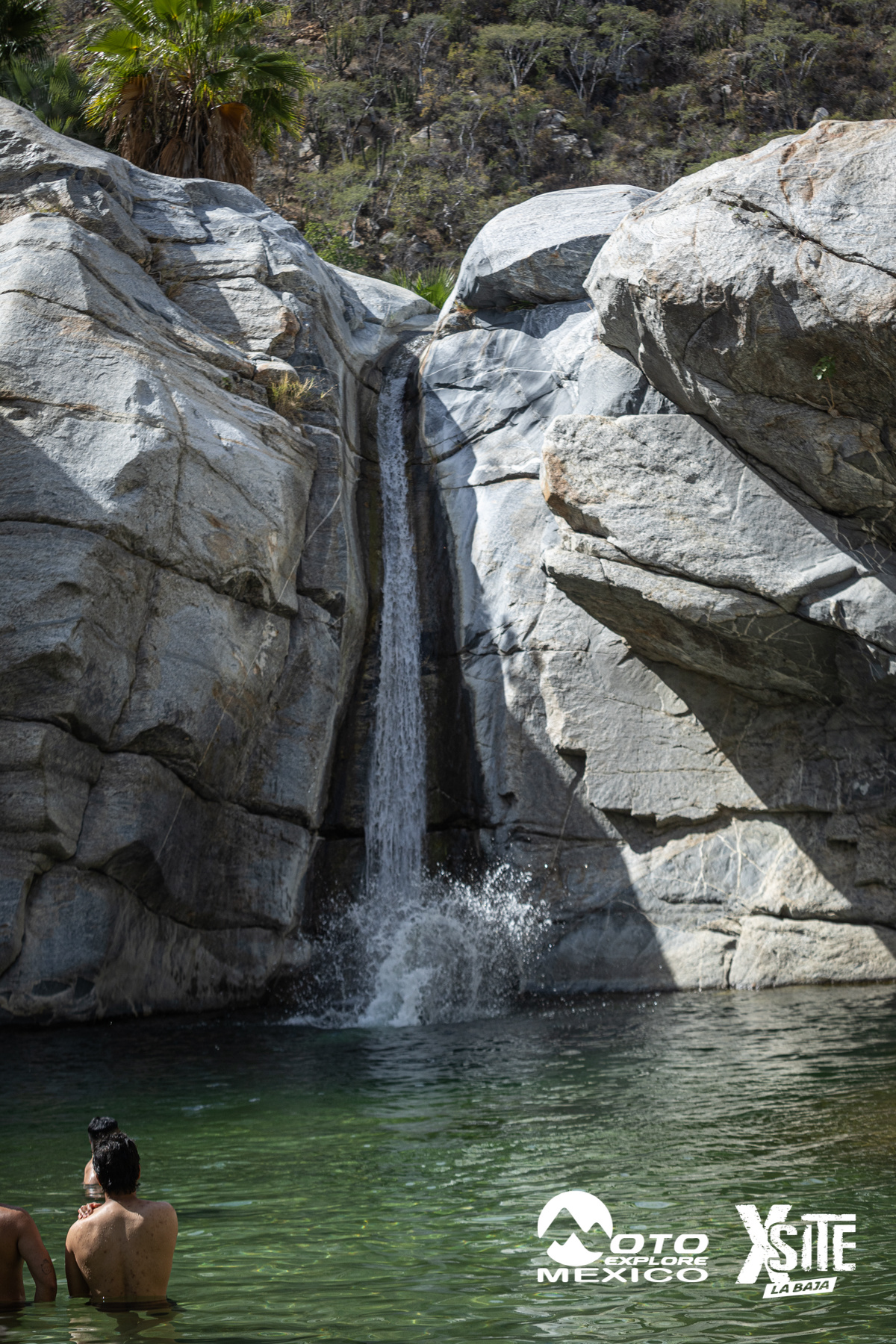 ITALIKA LA NAJA D2 309