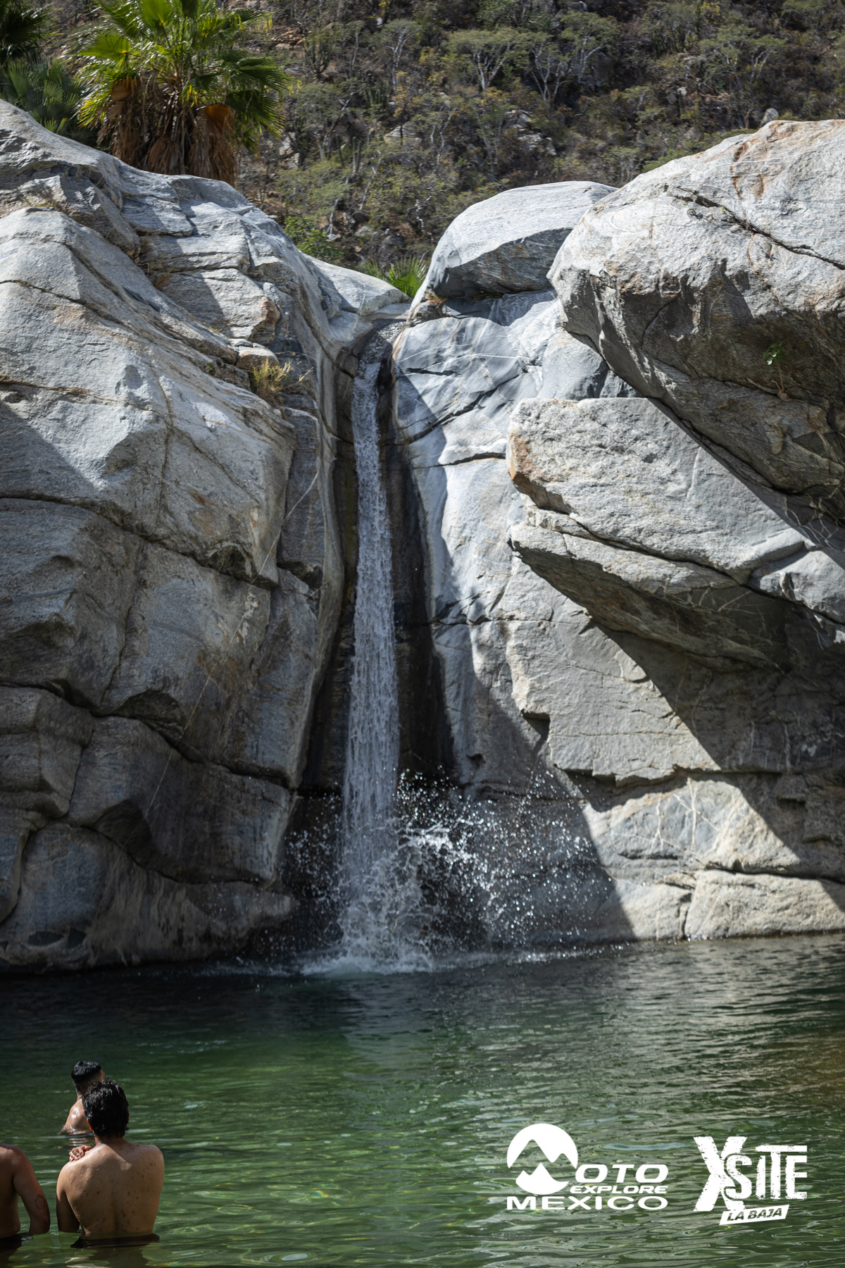 ITALIKA LA NAJA D2 311