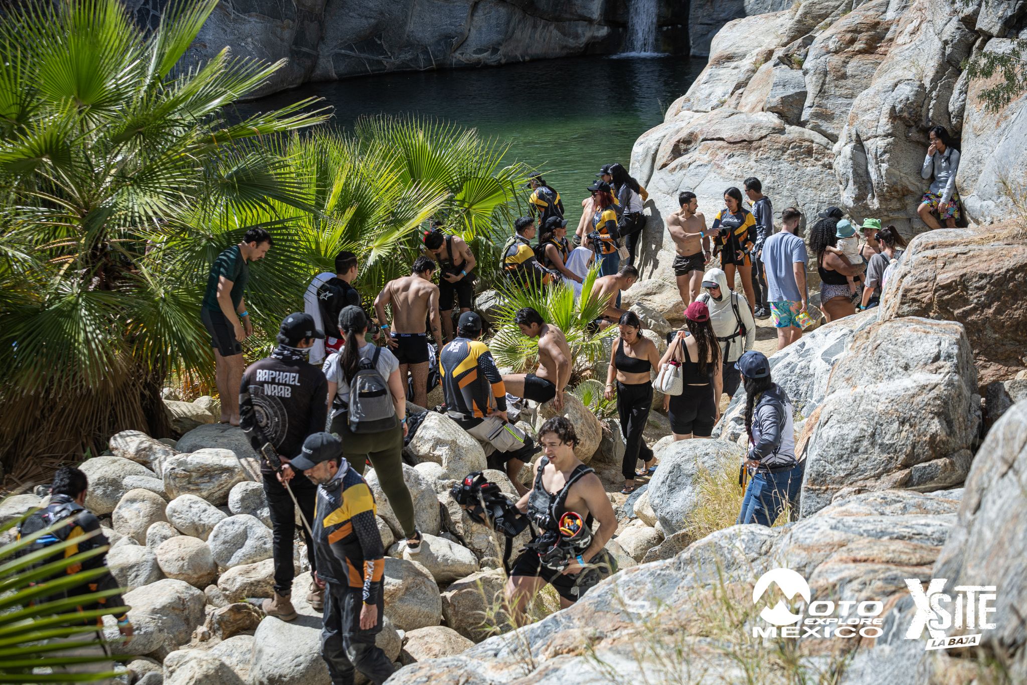 ITALIKA LA NAJA D2 350