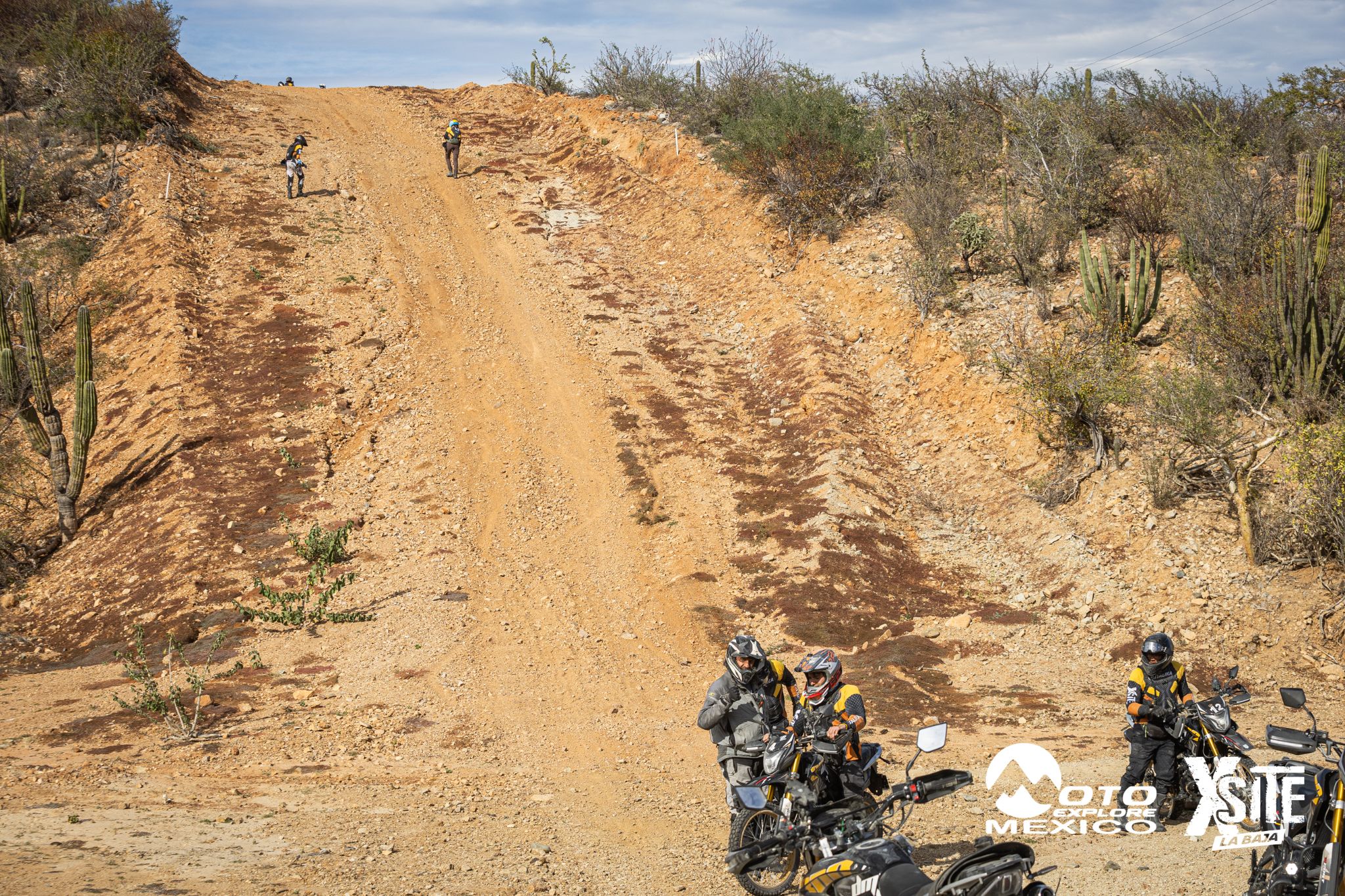 ITALIKA LA NAJA D2 477