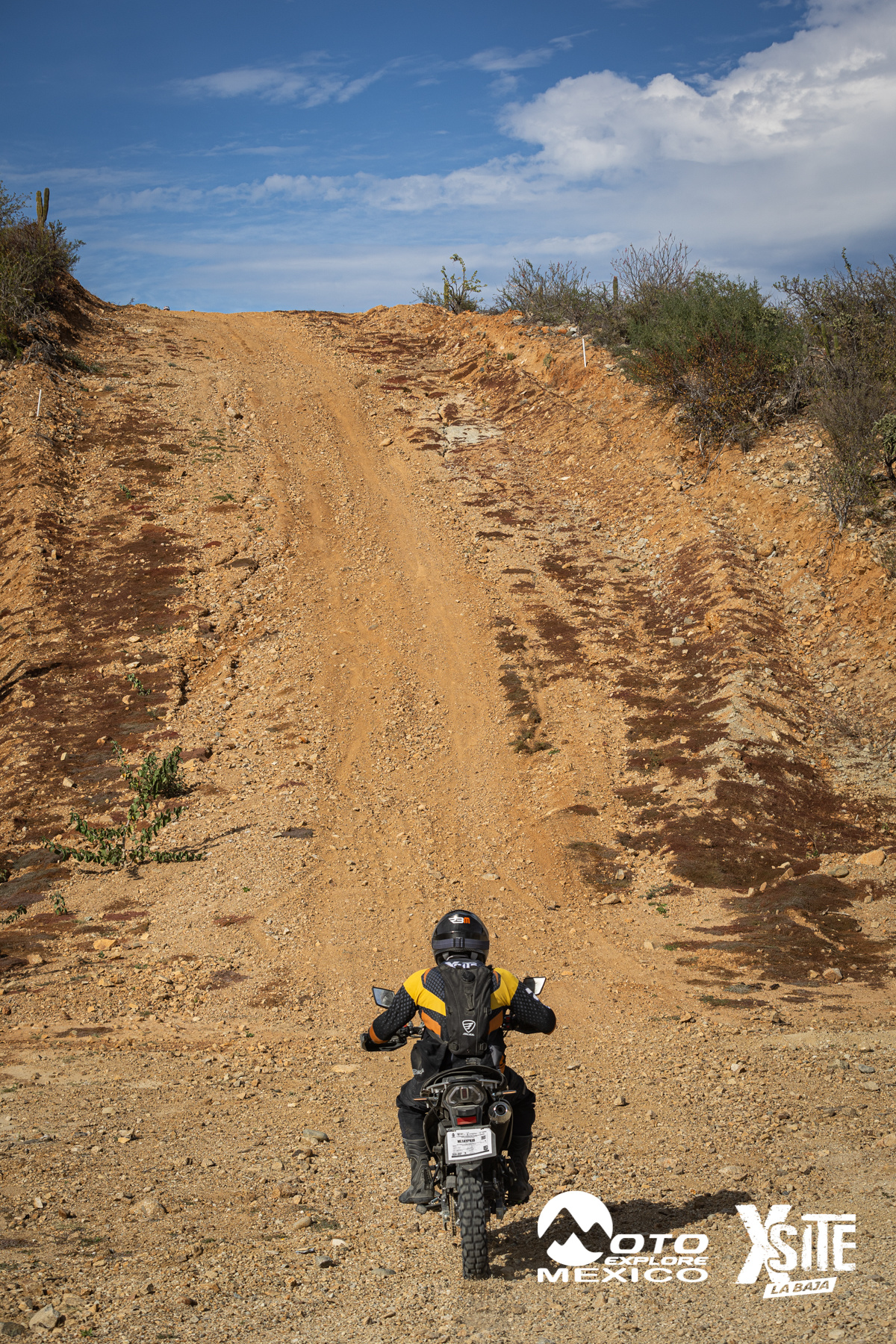 ITALIKA LA NAJA D2 479