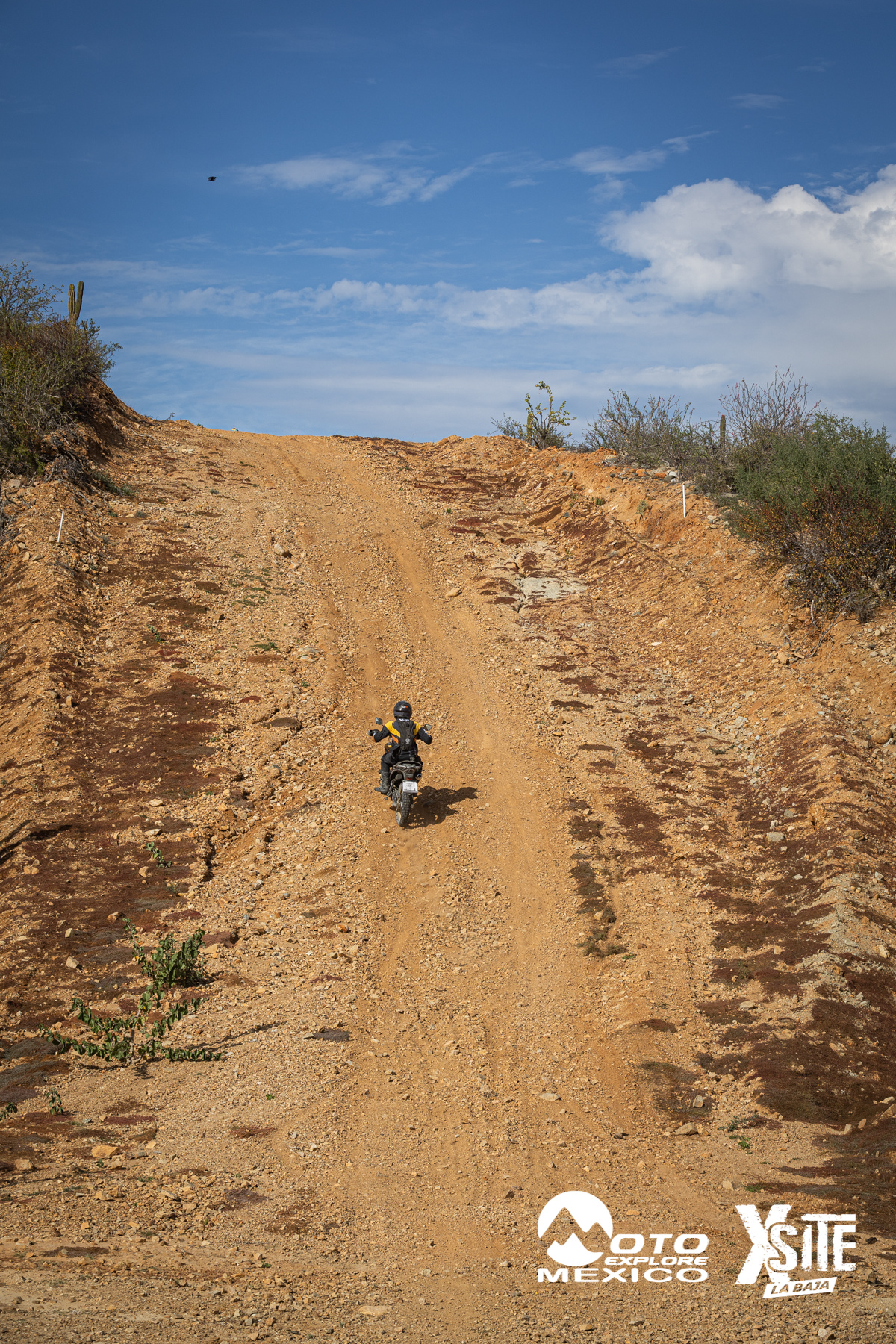 ITALIKA LA NAJA D2 481