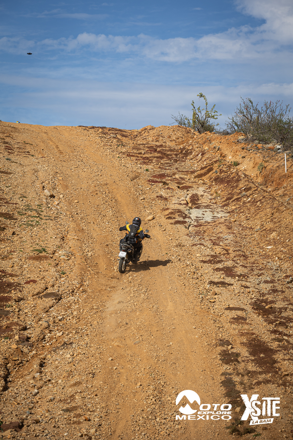 ITALIKA LA NAJA D2 482