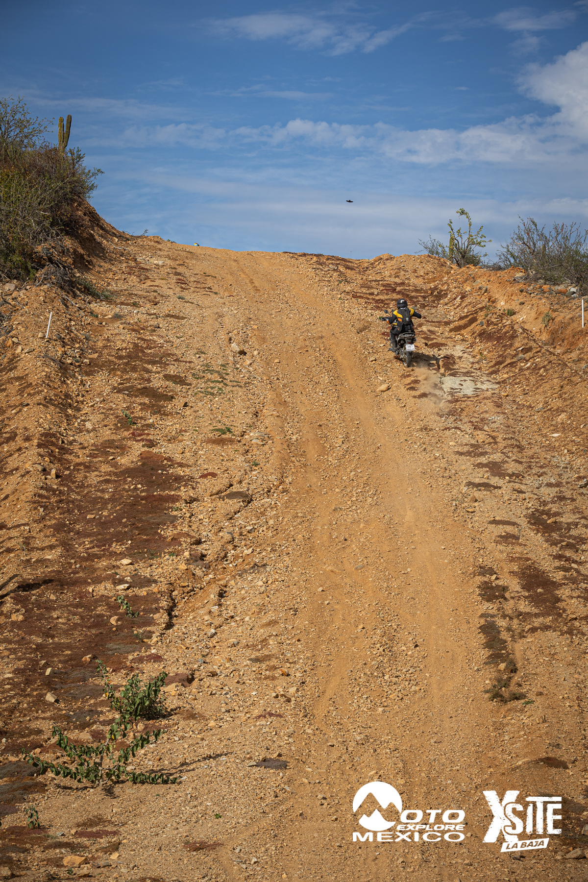 ITALIKA LA NAJA D2 483