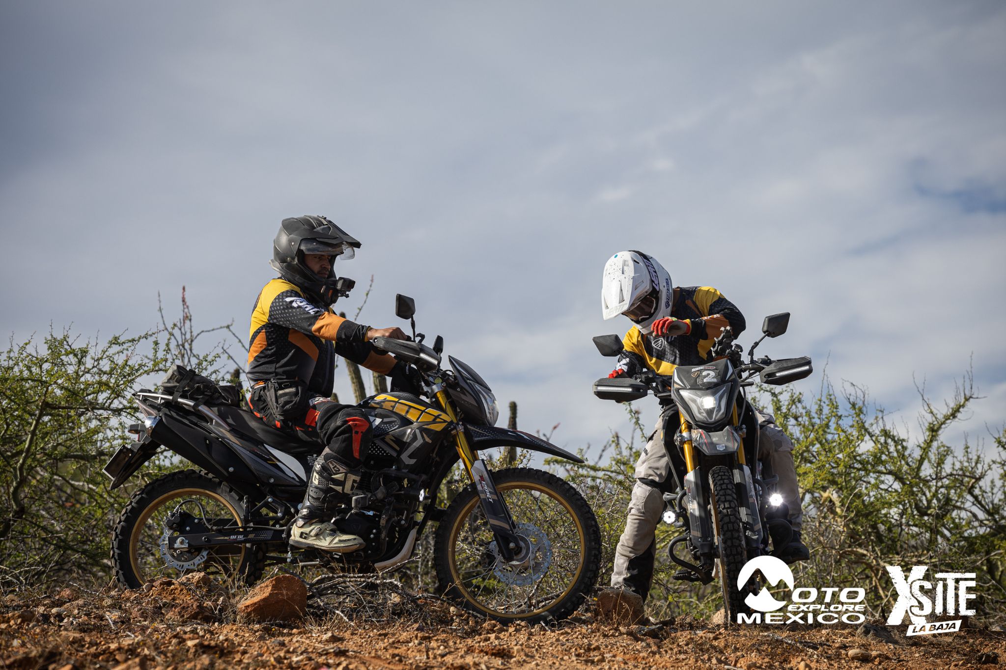 ITALIKA LA NAJA D2 492