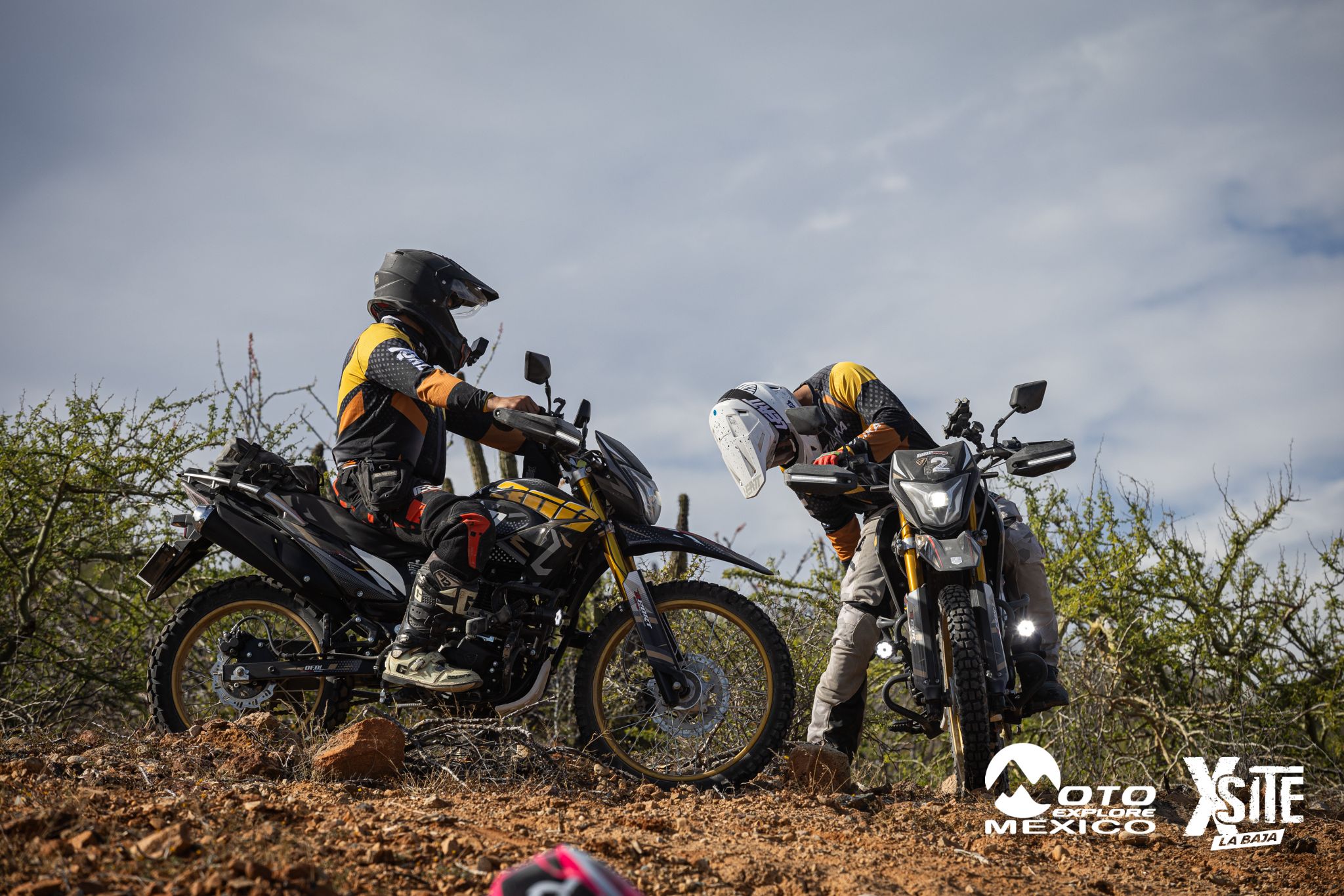 ITALIKA LA NAJA D2 493