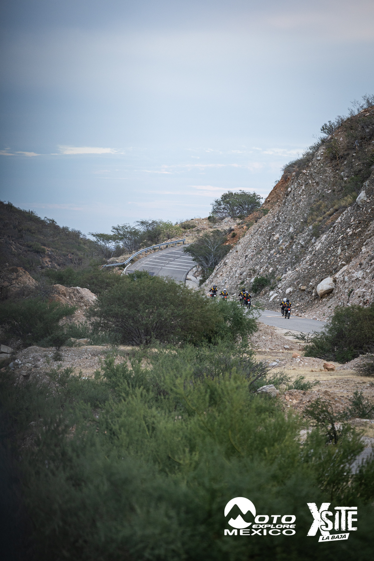 ITALIKA LA NAJA D2 608