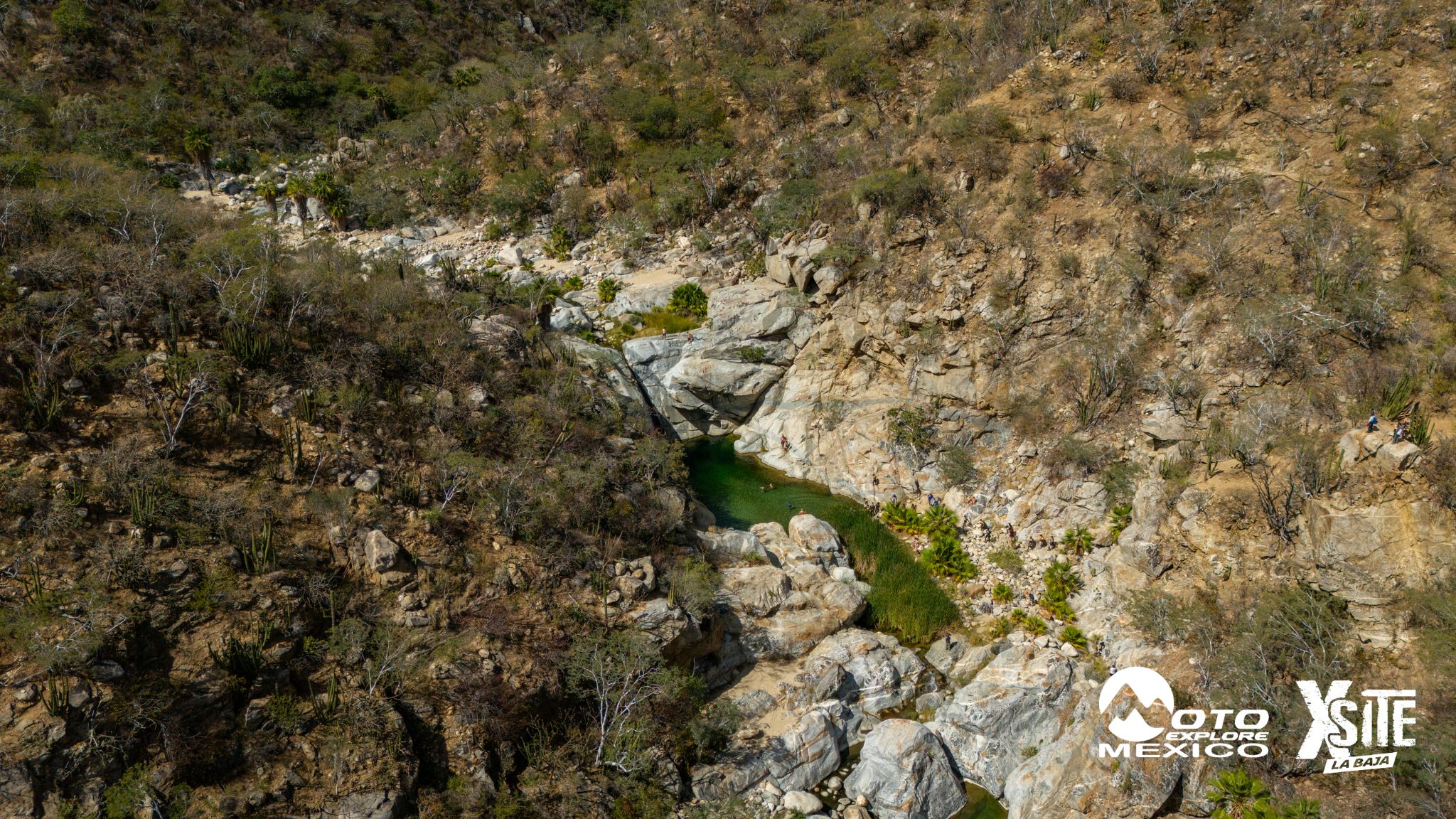 ITALIKA LA NAJA D2 734