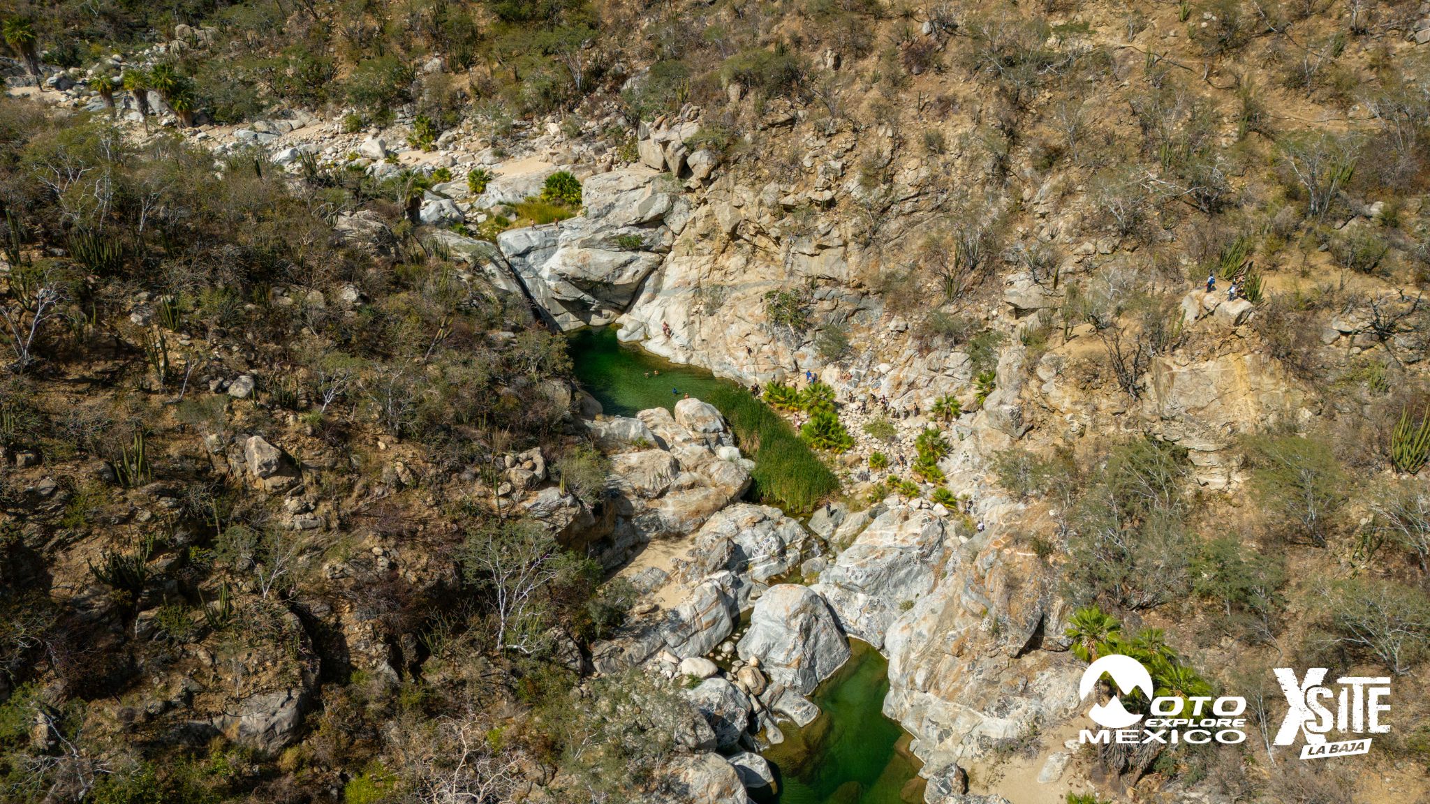 ITALIKA LA NAJA D2 735