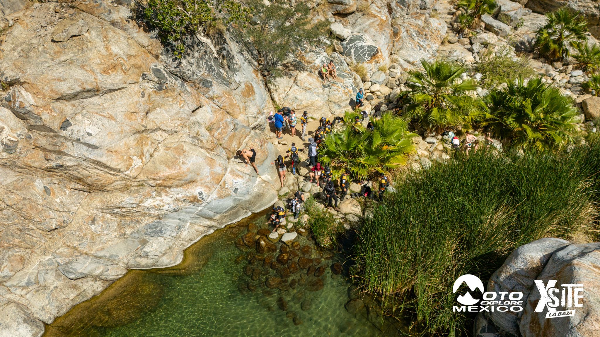 ITALIKA LA NAJA D2 737