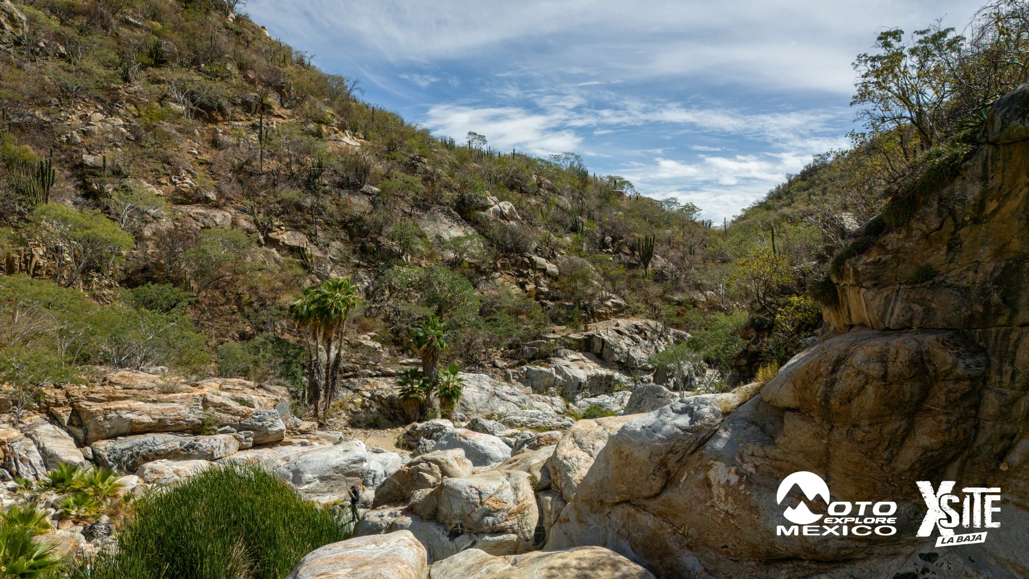 ITALIKA LA NAJA D2 739