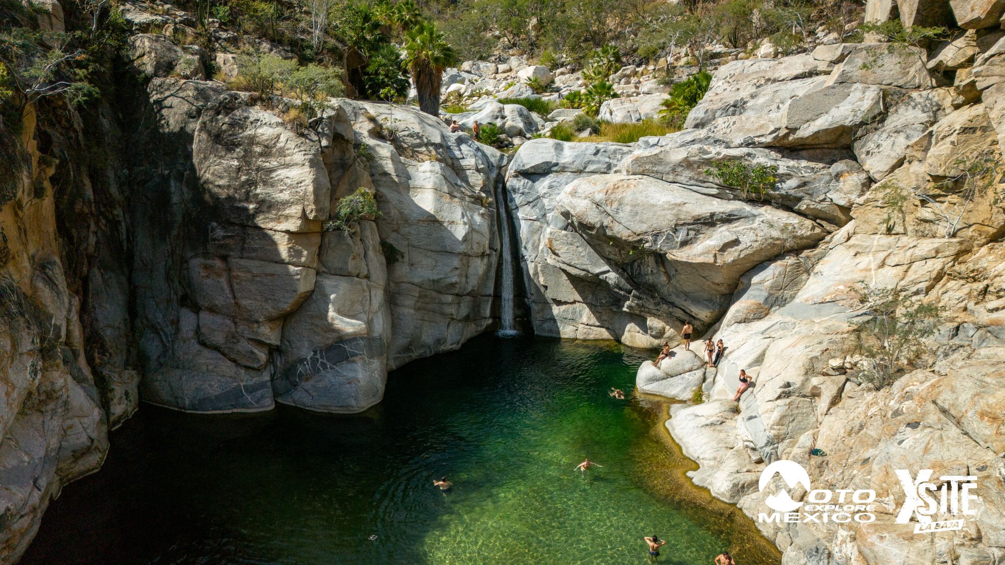 ITALIKA LA NAJA D2 741