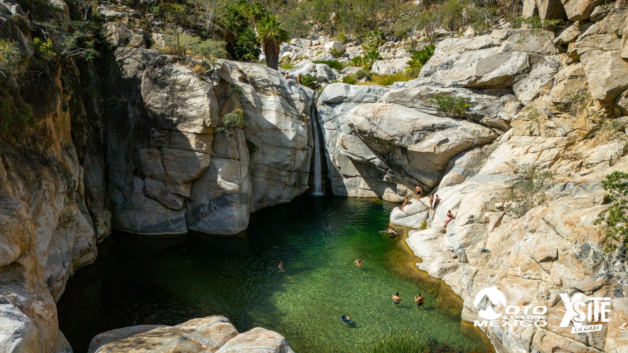 ITALIKA LA NAJA D2 742