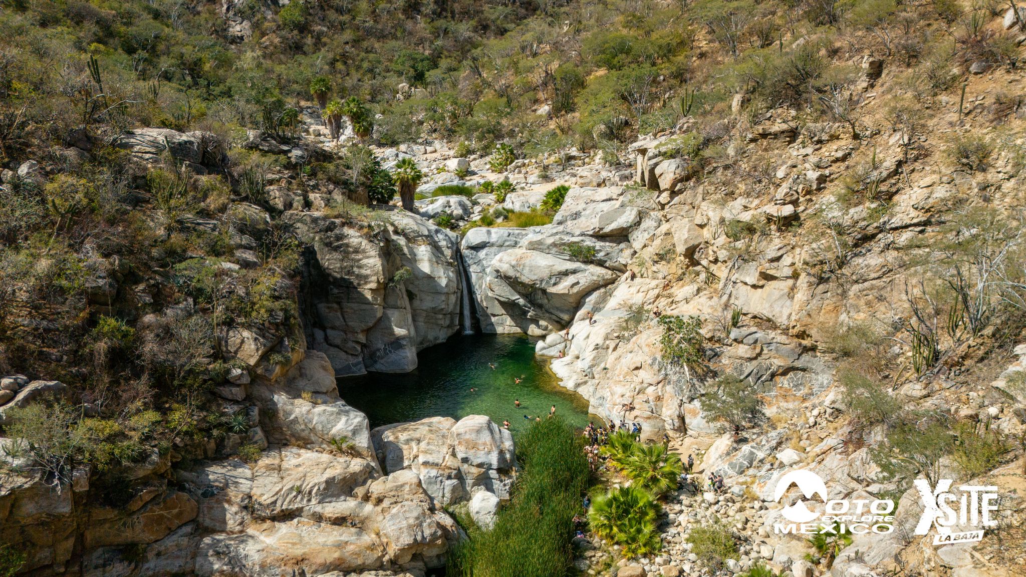 ITALIKA LA NAJA D2 749